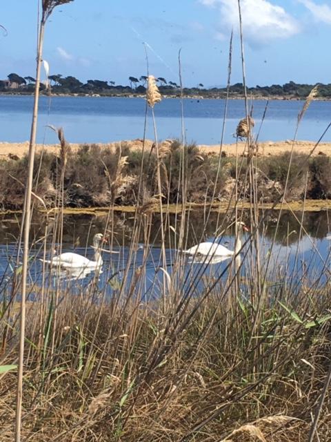 Appartements Les Pesquiers Hyeres Plage Bagian luar foto
